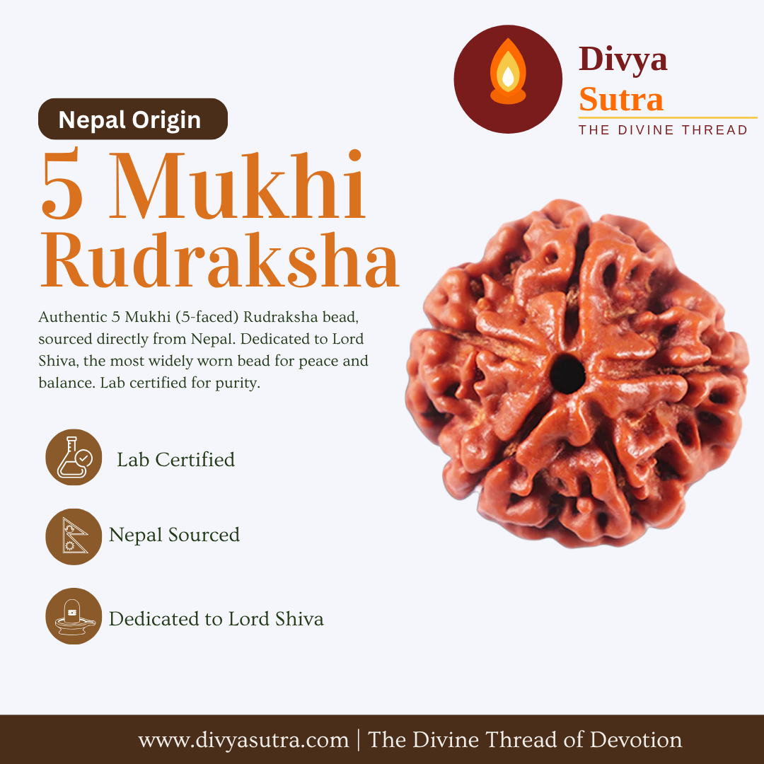 5 Mukhi Rudraksha — Nepal Origin, Lab Certified, Single Bead