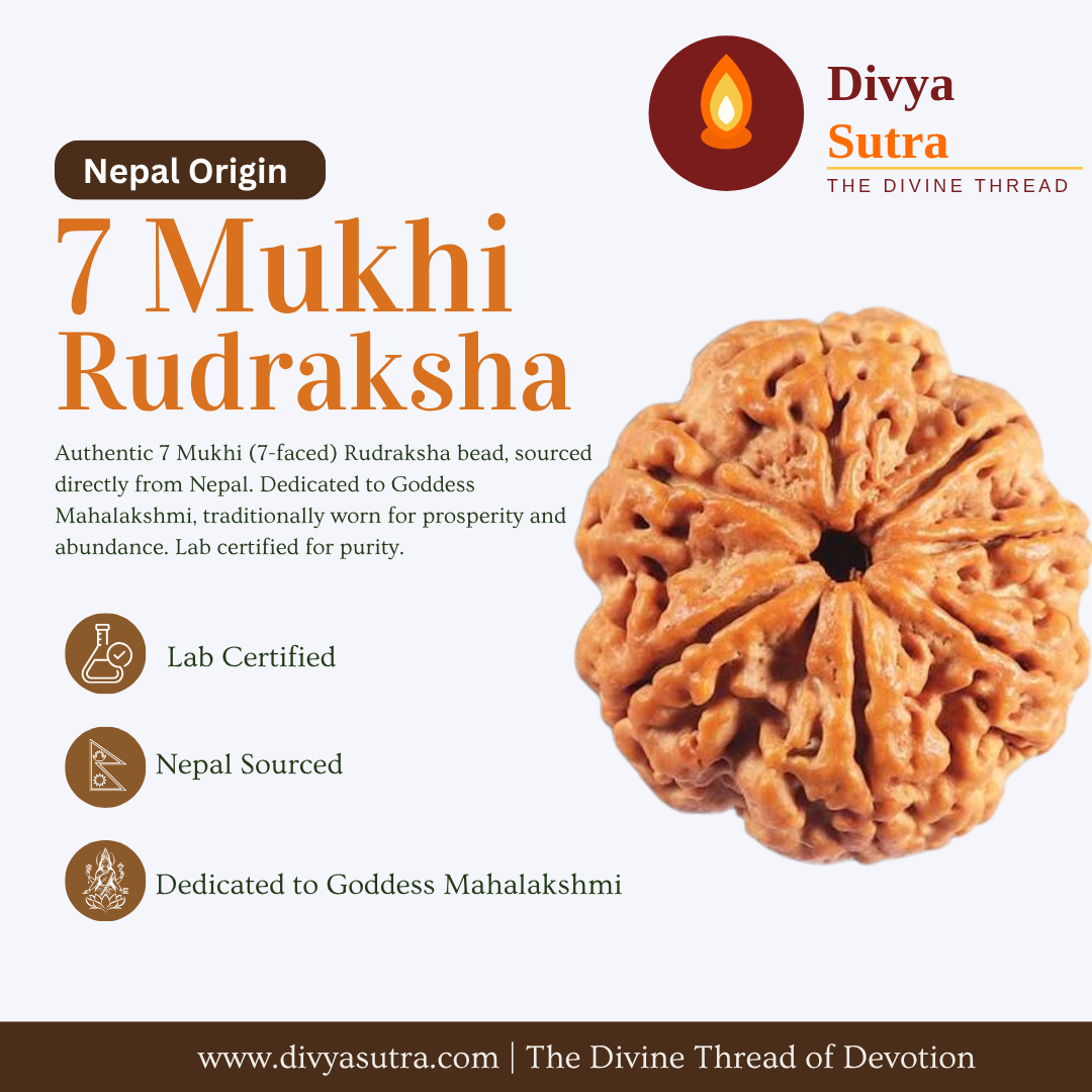 7 Mukhi Rudraksha — Nepal Origin, Lab Certified, Single Bead